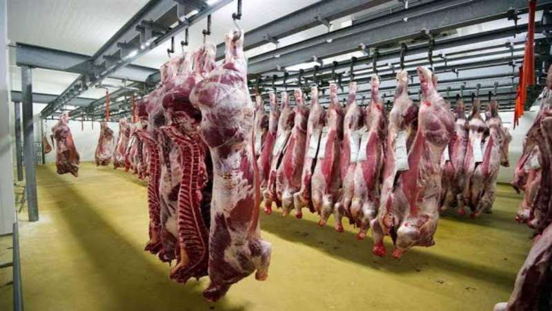 الزراعة: اعتماد مجزرين في تنزانيا لتصدير اللحوم إلى مصر