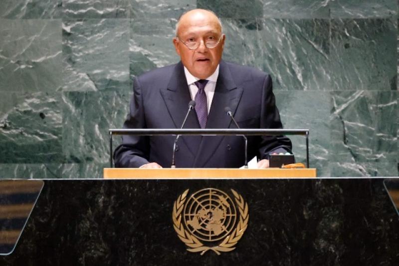 «ظلم» إفريقيا وسد النهضة وليبيا وفلسطين.. رسائل مصر بالأمم المتحدة