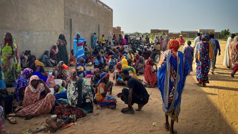 مع استمرار الحرب.. الكوليرا وحمى الضنك تهددا حياة السودانيين
