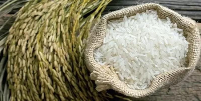 الهند تعتزم خفض الحد الأدنى لسعر تصدير الأرز البسمتي