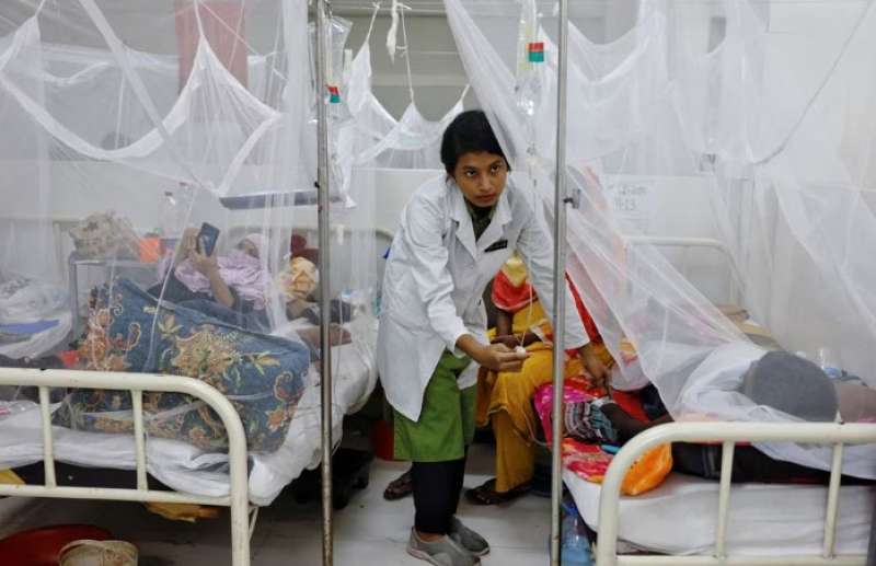 وفيات حمى الضنك في بنجلاديش تتجاوز 1000 حالة في أسوأ تفشي