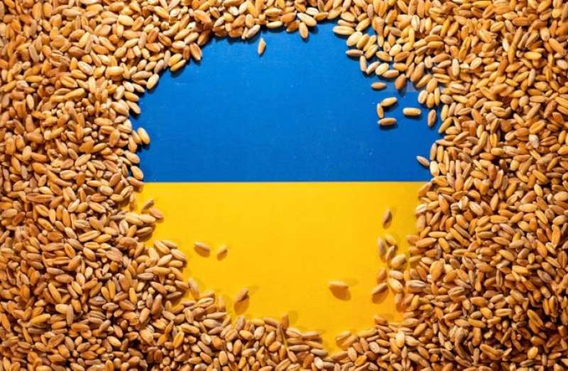 حبوب تحاوط العلم الأوكراني