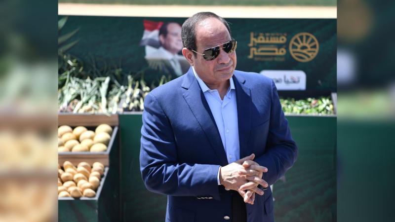 «عايزينها تبقى خضراء».. خطة الرئيس السيسي لإعادة مصر دولة زراعية