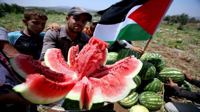 البطيخ الفلسطيني.. إبداع شعبي ورمزًا للمقاومة في مواجهة الاحتلال