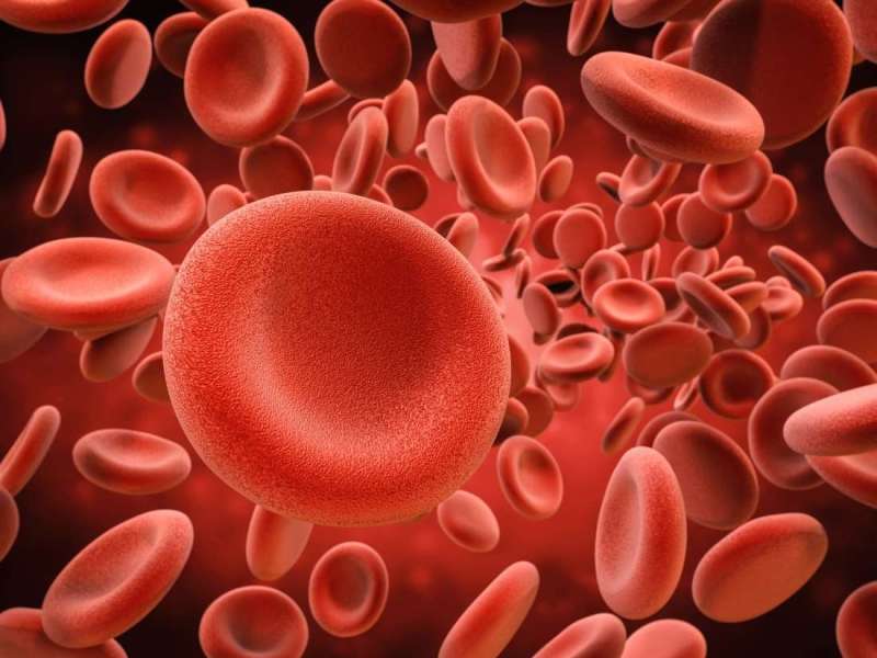 استشاري أمراض الدم: الأنيميا عَرَض وليس مرضا.. و900 مليون إنسان يعانون نقص الحديد