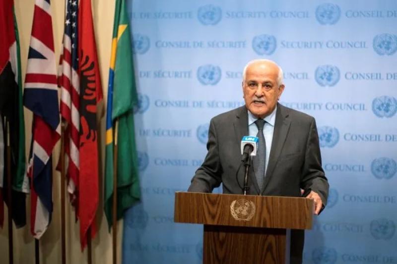 رياض منصور، مندوب فلسطين لدى الأمم المتحدة