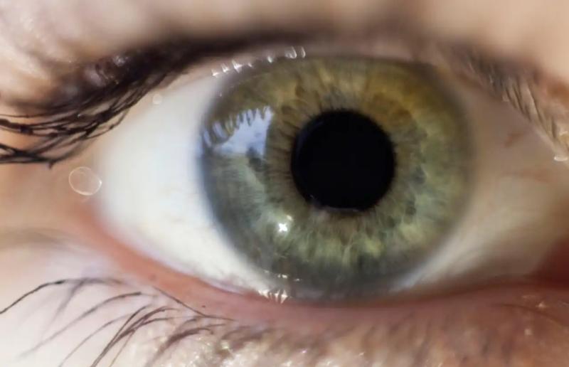 دراسة جديدة تكشف تأثير تناول العنب على البصر