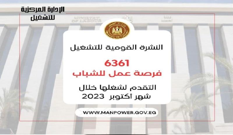وزارة العمل: 6361 فرصة عمل في 45 شركة خاصة داخل 12 محافظة