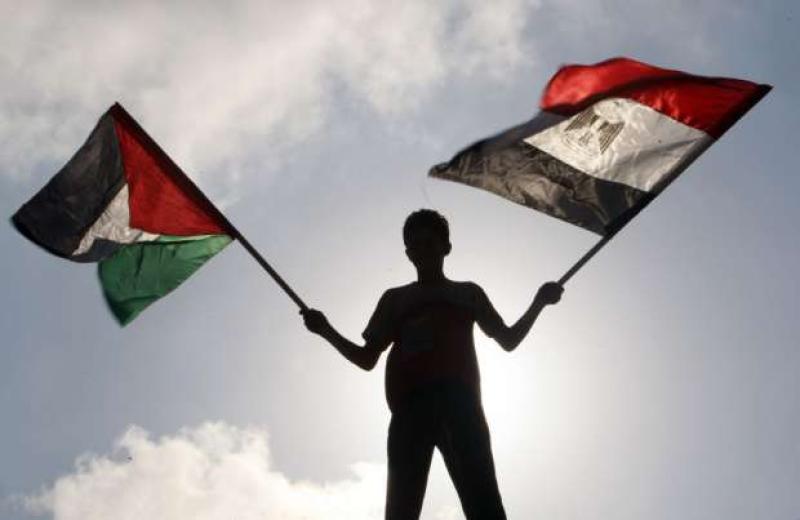 مصر تدعم فلسطين 