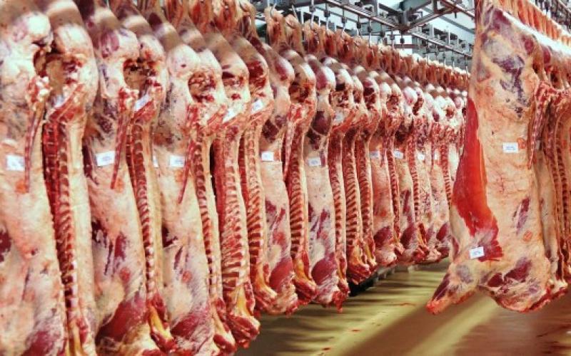 أسعار اللحوم البلدي والمستوردة في الأسواق اليوم السبت 28-10-2023
