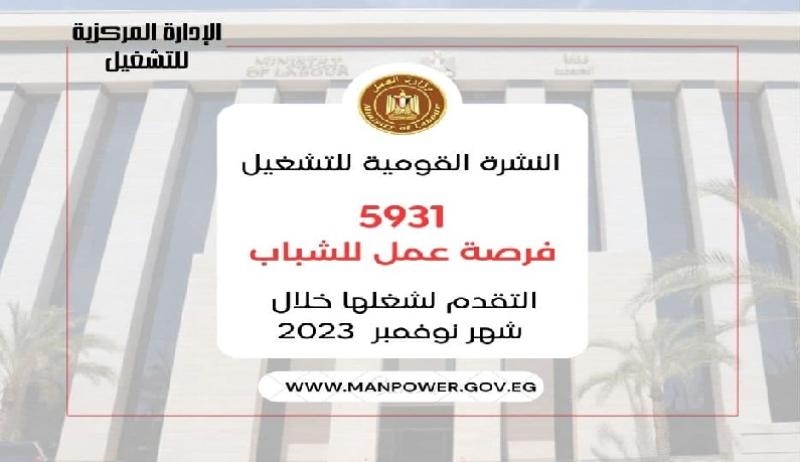 وزارة العمل تدعو الشباب إلى التقديم على 5931 فرصة عمل في 39 شركة خاصة داخل 11 محافظة