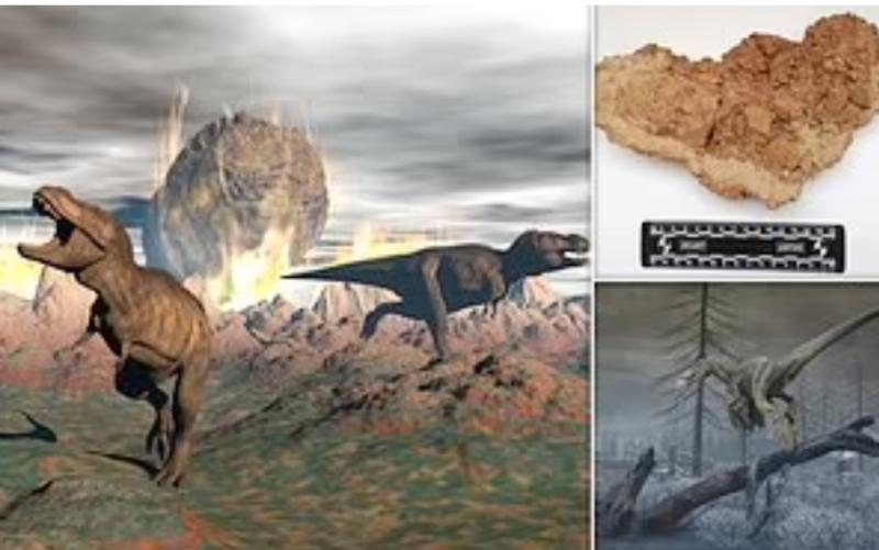 بعد مرور 66 مليون سنة.. علماء يكشفون أسباب «انقراض الديناصورات»