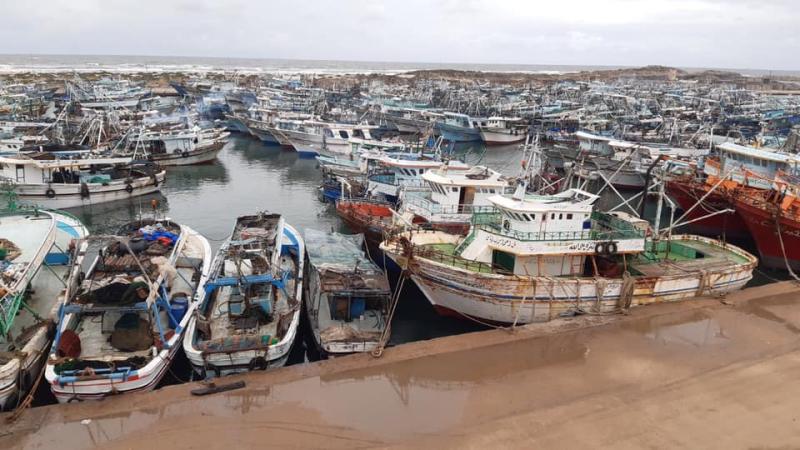 ميناء وبحيرة البرلس بكفرالشيخ - أرشيفية