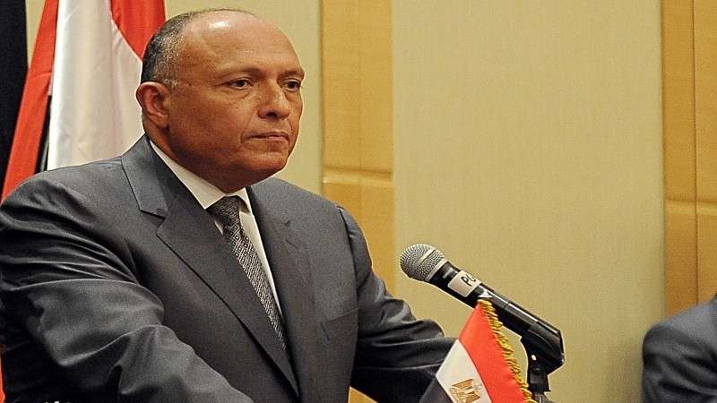 وزير الخارجية يوجه بتيسير مشاركة المصريين بالخارج في الانتخابات الرئاسية
