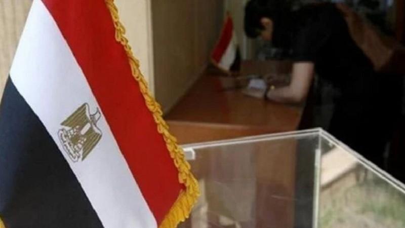 وحيد خلوي: المشاركة والتصويت في الانتخابات الرئاسية واجب وحق أصيل لكل مصري