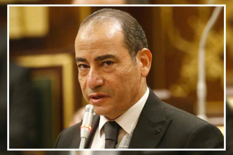 برلماني: المصريين أثبتوا وعيهم السياسي في الانتخابات الرئاسية