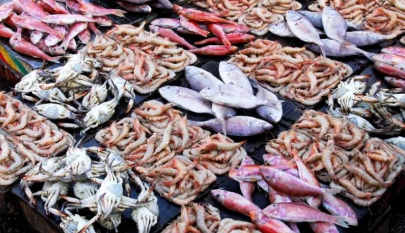 توفير 2 طن أسماك بأسعار مخفضة أمام مجلس مدينة بيلا بكفرالشيخ