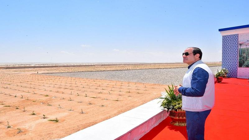 الرئيس السيسي- تنمية سيناء