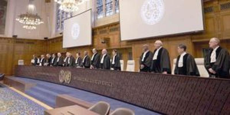 أستاذ العلوم السياسية: «العدل الدولية» يمكنها إحالة حكمها بشأن قوات الاحتلال إلى مجلس الأمن