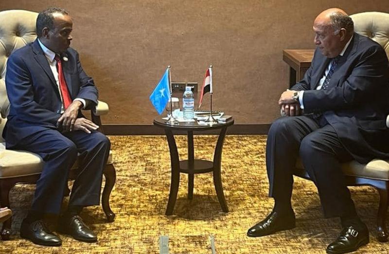 وزير الخارجية: مصر تولي أهمية كبيرة لأمن واستقرار الصومال