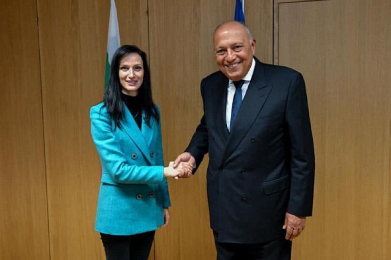 شكري يلتقي وزيرة خارجية بلغاريا 