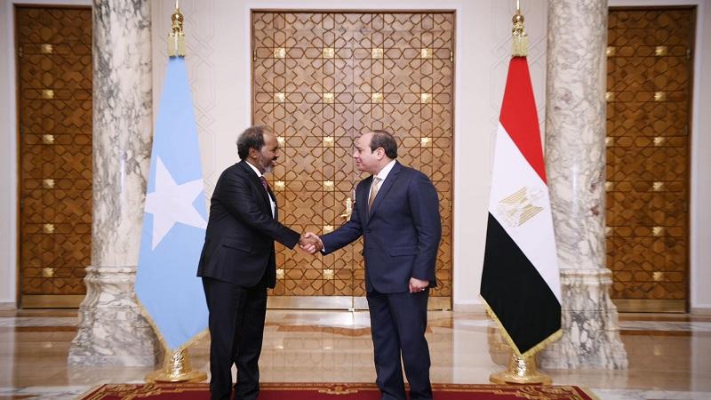 جانب من لقاء الرئيس السيسي ورئيس الصومال