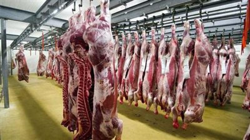 أسعار اللحوم في السوق المحلي 