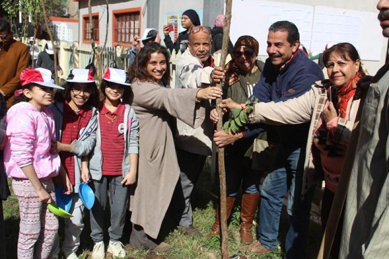 البيئة تشارك في زراعة 300 شجرة مثمرة بمدارس القاهرة