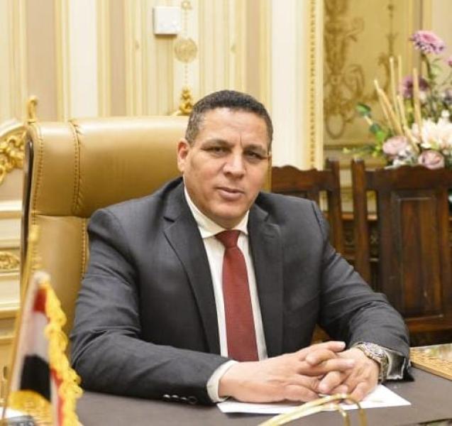 برلماني: لقاء السيسي بلينكن يأتي في إطار جهود مصر تجاه القضية الفلسطينية