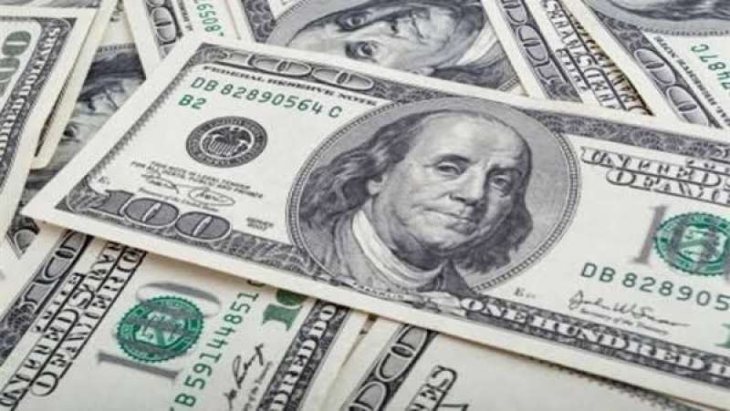 «تجارية القليوبية»: تراجع سعر الدولار الموازي ينعكس إيجابيًا على تراجع الأسعار