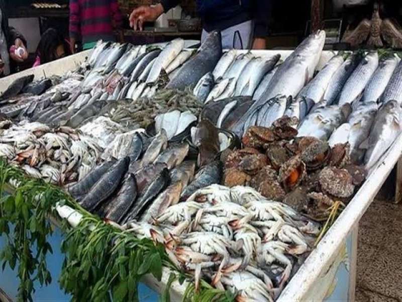 مقتل صياد في مشاجرة طاحنة بسبب أولوية بيع السمك بسوهاج