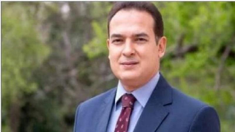 سفير مصر لدى بلجراد يناقش سبل تطوير العلاقات مع وزير الخارجية الصربي