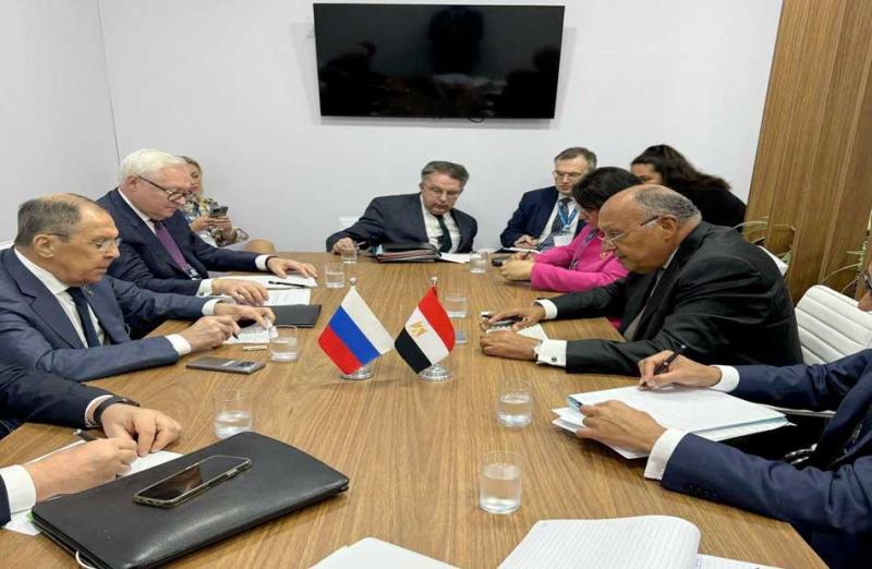 فلسطين والسودان وسوريا تتصدر مباحثات وزيري خارجية مصر وروسيا في البرازيل