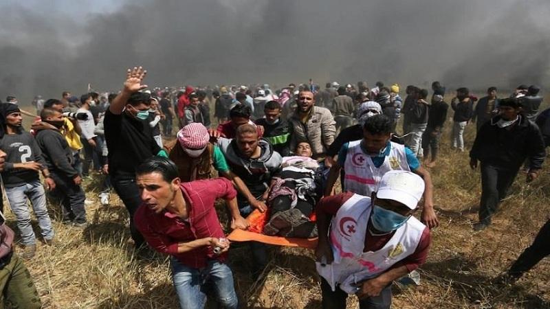 إعلام الهلال الأحمر الفلسطيني يكشف حجم الكارثة الصحية بغزة.. فيديو