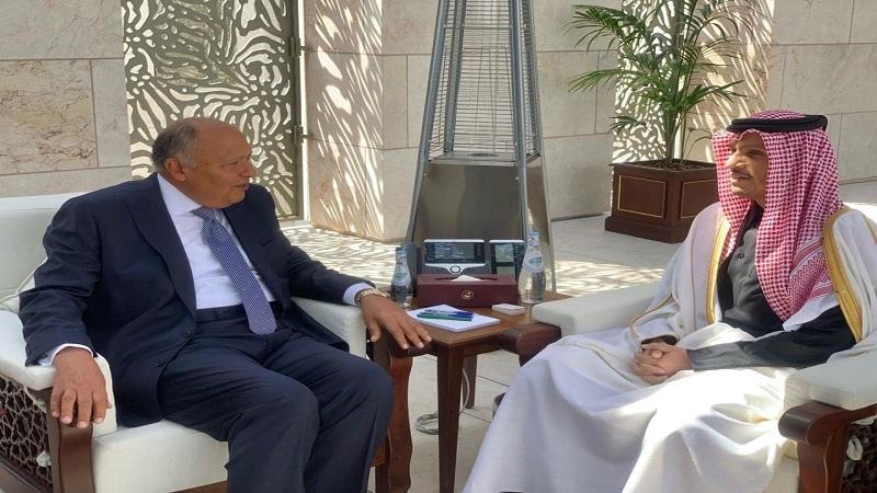 وزيرا خارجية مصر وقطر يؤكدان رفضهما لمحاولات تهجير الفلسطينيين