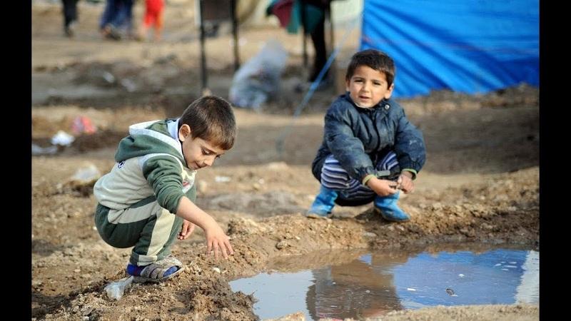 عاجلI ارتفاع عدد الأطفال المتوفين بسبب التغذية في غزة