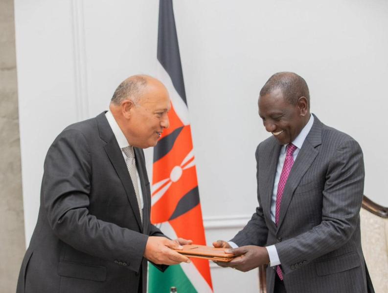 سامح شكري يُسلم رسالة من الرئيس السيسي إلى الرئيس الكيني ويليام روتو
