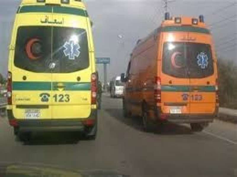 إصابة 20 شخصًا في حادث تصادم على طريق القاهرة - أسيوط