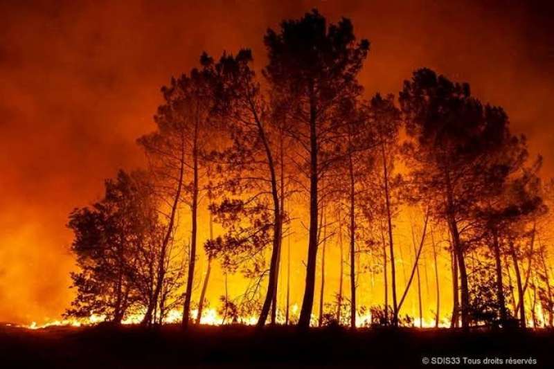حرائق الغابات بروسيا 