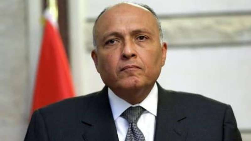 وزير الخارجية يستعرض جهود مصر من أجل حلحلة الأزمة السودانية