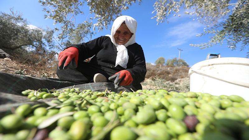 «الناجي»: الأم الفلسطينية تعيش في بيئة عصيبة للغاية