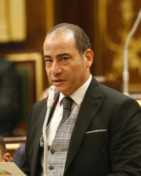 برلماني: مكتسبات المرأة المصرية  في عهد السيسي ثروة حقيقية
