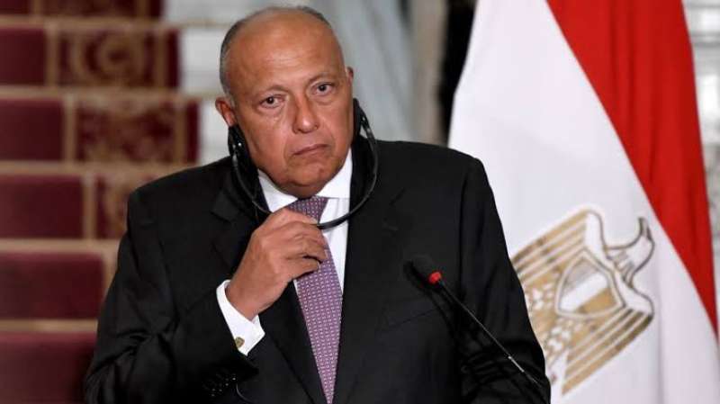 وزير الخارجية المصري 