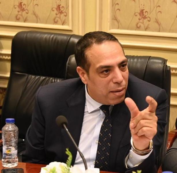 برلماني: لقاء غوتيريش والسيسي يؤكد وجود تطابق تام بين الموقفين المصري والأممي
