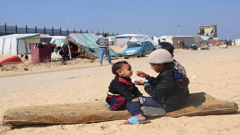«شبح الجوع».. تقارير أممية تحذر: مليون شخص بغزة يواجهون انعدام الغذاء