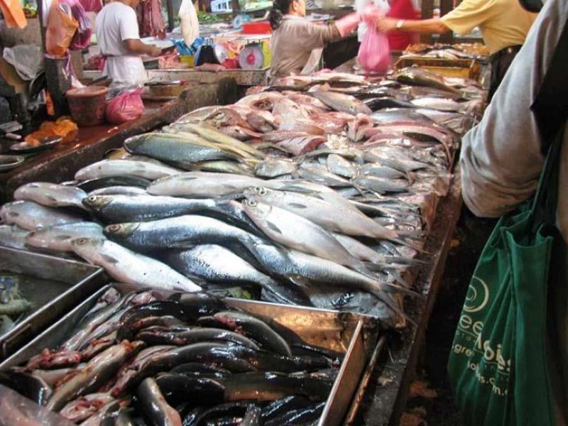 أسعار الأسماك اليوم الأربعاء أول أيام عيد الفطر 2024.. البلطي بـ 79 جنيهًا
