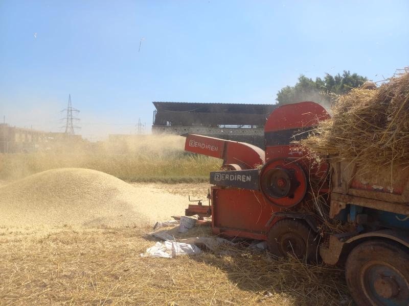 مصرع مزارع سقط في ماكينة الدراس بقطور