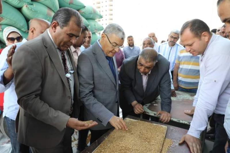 محافظ المنيا : توريد 67 ألف طن حتى الآن من محصول القمح بالشون والصوامع