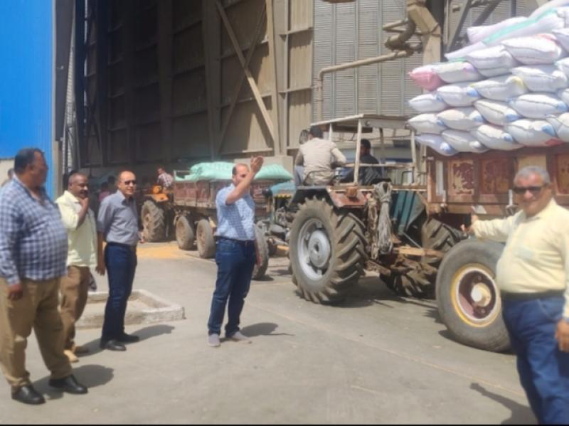 لجنة متابعة توريد القمح بالغربية تتابع أعمال التفريغ بصومعة طنطا الإماراتية