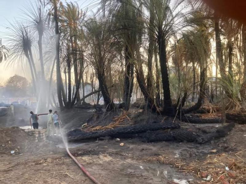 ميكانيكي يشعل النيران في أرض جاره الزراعية بإدفو شمال أسوان